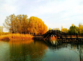 河南平顶山白龟湖湿地公园
