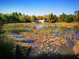 河南平顶山白龟湖湿地公园