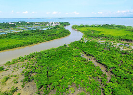 海南东寨港红树林湿地
