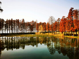 湖北武汉华侨城湿地公园