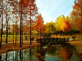 河南平顶山白龟湖湿地公园