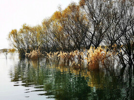 河南平顶山白龟湖湿地公园