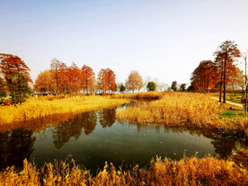 湖北武汉华侨城湿地公园