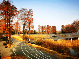 湖北武汉华侨城湿地公园