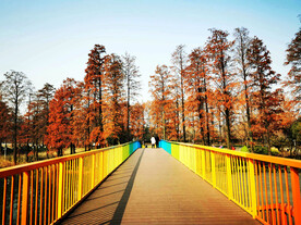 湖北武汉华侨城湿地公园