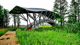 广东珠海黄杨河湿地公园