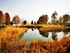 湖北武汉华侨城湿地公园
