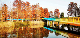 湖北武汉华侨城湿地公园