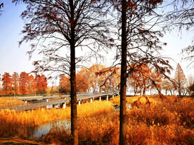 湖北武汉华侨城湿地公园