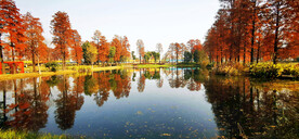 湖北武汉华侨城湿地公园