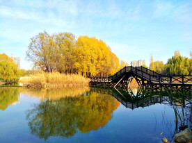河南平顶山白龟湖湿地公园