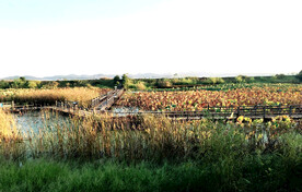 江西鄱阳湖湿地公园