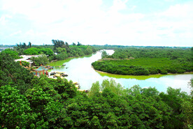 海南东寨港红树林湿地