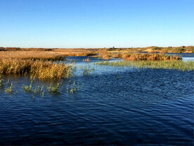 内蒙古居延海湿地公园