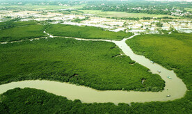 海南东寨港红树林湿地