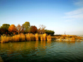 内蒙古居延海湿地公园