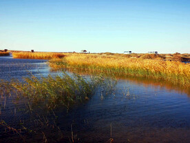 内蒙古居延海湿地公园