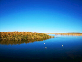 内蒙古居延海湿地公园