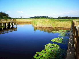 山东青岛唐岛湾湿地公园