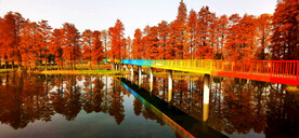 湖北武汉华侨城湿地公园