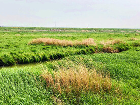 江西鄱阳湖湿地公园