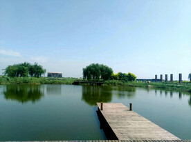 山东寿光巨淀湖湿地公园