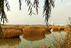 山东寿光巨淀湖湿地公园