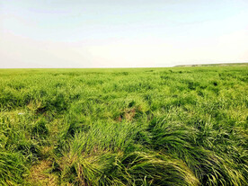 江西鄱阳湖湿地公园