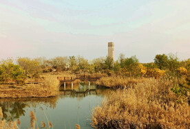 山东寿光巨淀湖湿地公园
