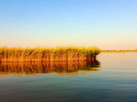 山东寿光巨淀湖湿地公园