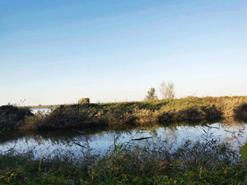 天津大黄堡湿地