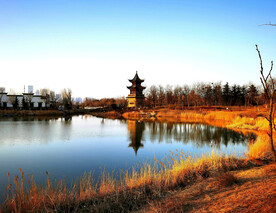 山东青岛唐岛湾湿地公园