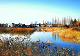 山东青岛唐岛湾湿地公园