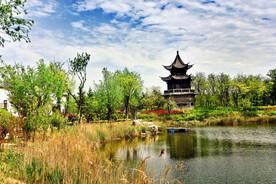 山东青岛唐岛湾湿地公园