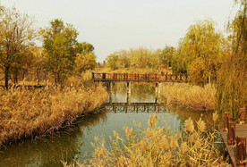 山东寿光巨淀湖湿地公园