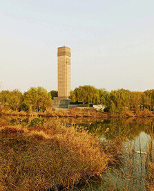 山东寿光巨淀湖湿地公园