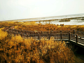 天津北大港湿地