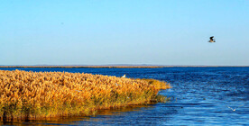 内蒙古居延海湿地公园