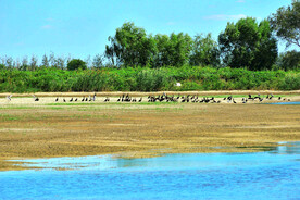 天津大黄堡湿地