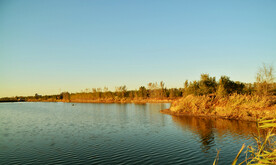 天津大黄堡湿地