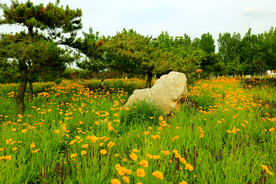 天津环秀湖国家湿地公园