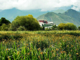 西藏拉萨拉鲁湿地