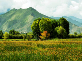 西藏拉萨拉鲁湿地