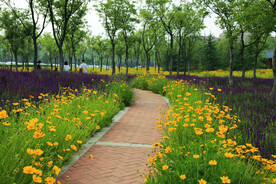 天津环秀湖国家湿地公园