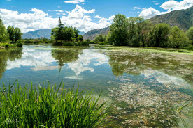 西藏拉萨拉鲁湿地