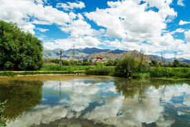 西藏拉萨拉鲁湿地