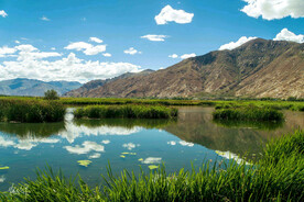 西藏拉萨拉鲁湿地