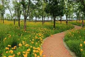 天津环秀湖国家湿地公园