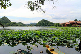 云南普者黑湿地公园