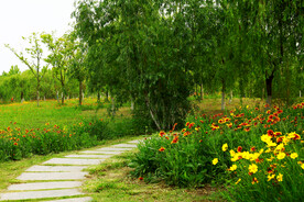 天津环秀湖国家湿地公园